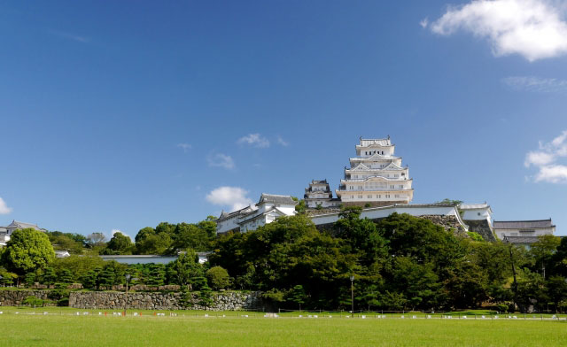 包茎手術 兵庫県の評判。おすすめクリニック４選！失敗しない口コミ紹介