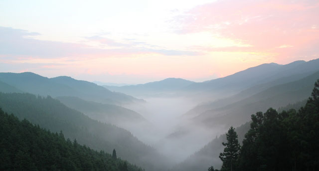 和歌山県